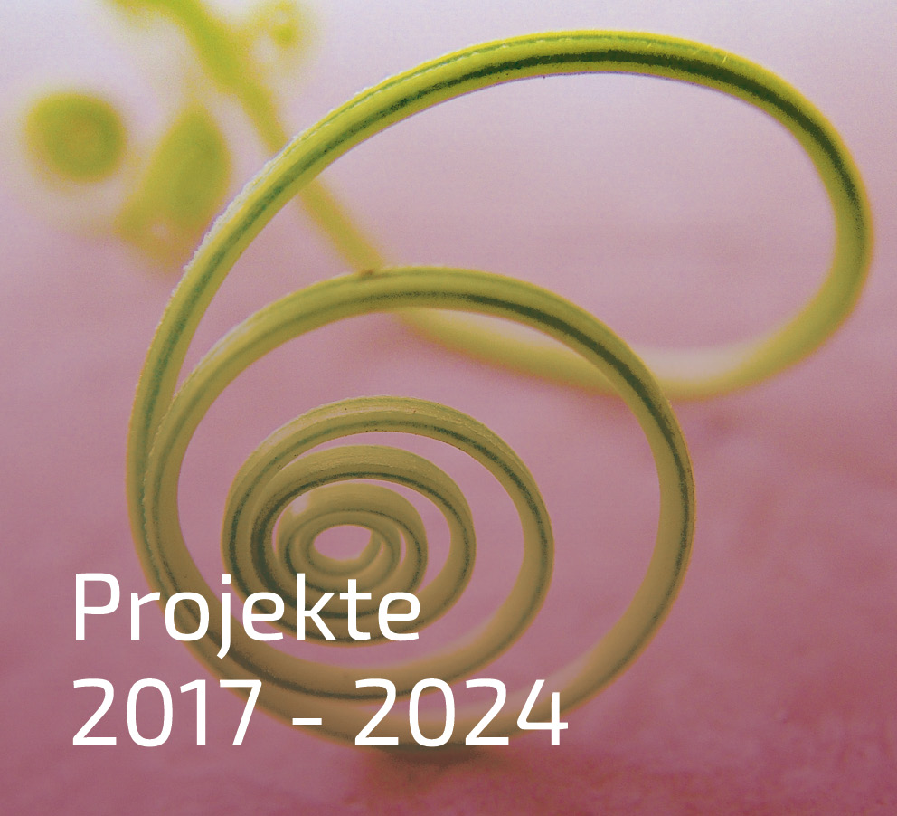 Projekte von 2017 - 2024